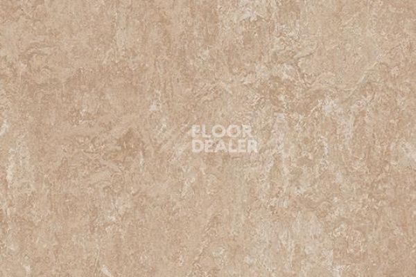 Линолеум Marmoleum Decibel on Order 314135 Himalaya фото 1 | FLOORDEALER